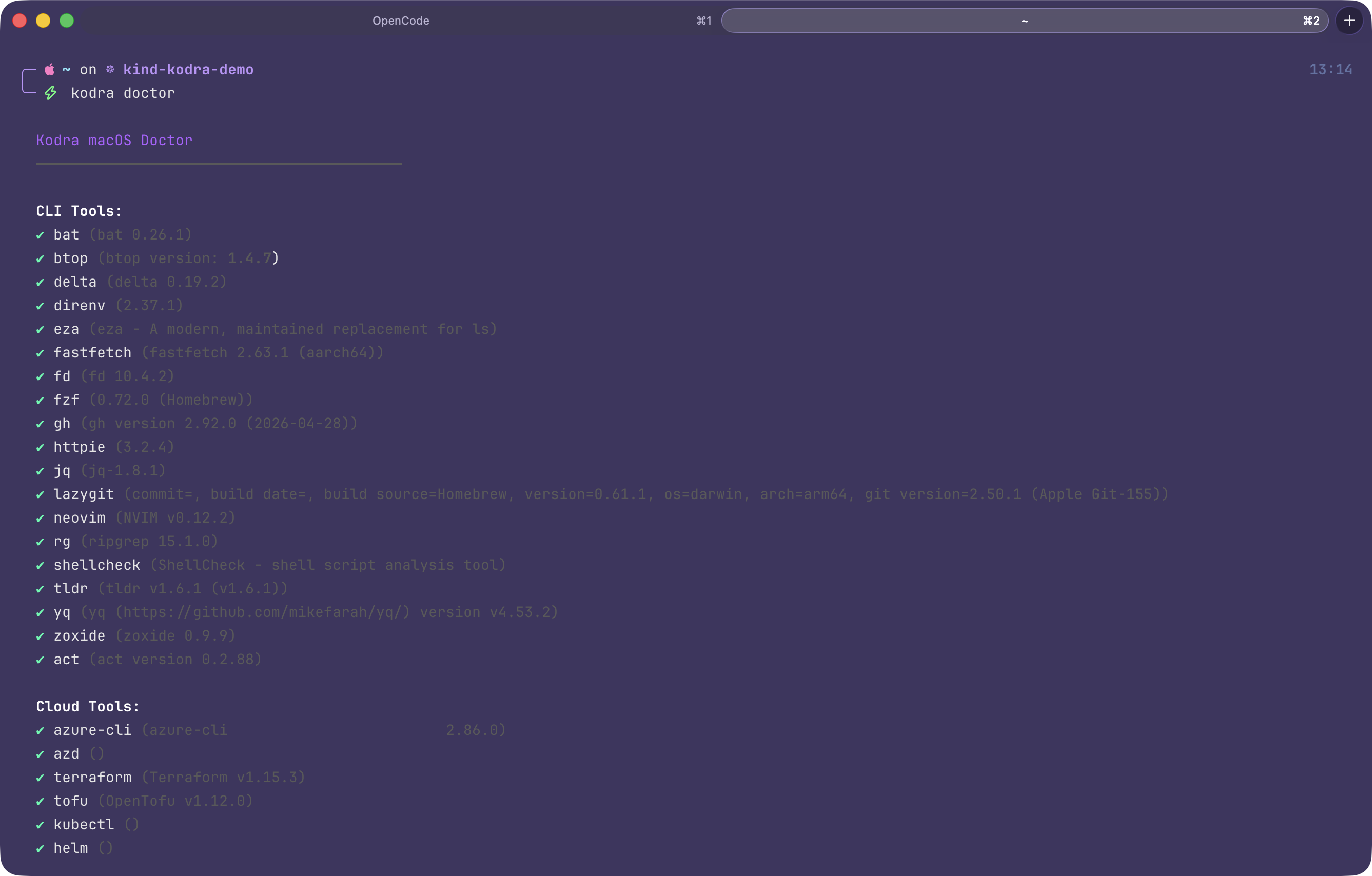 Kodra macOS doctor command showing health check of all installed developer tools — bat, eza, fzf, lazygit, Azure CLI, Terraform, kubectl, and more