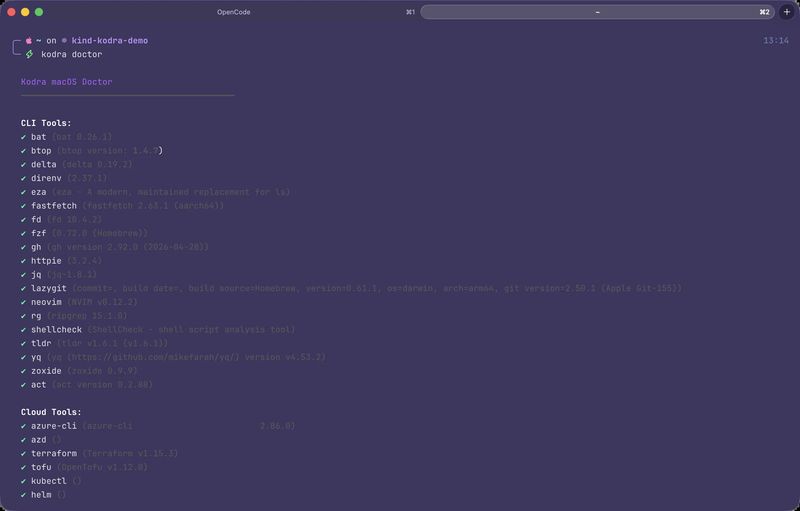 Kodra macOS doctor command showing health check of all installed developer tools — bat, eza, fzf, lazygit, Azure CLI, Terraform, kubectl, and more